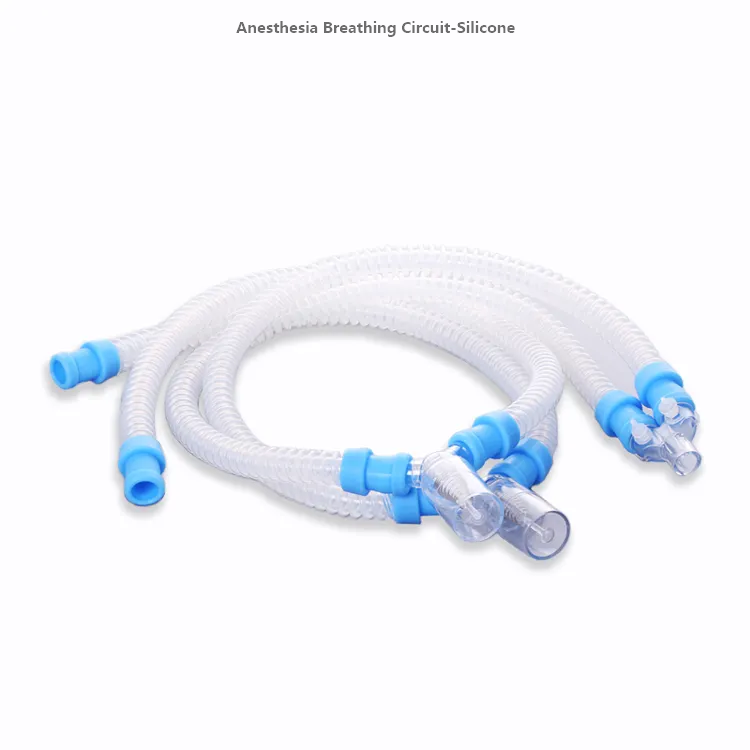 Anesthesia Breathing Circuit